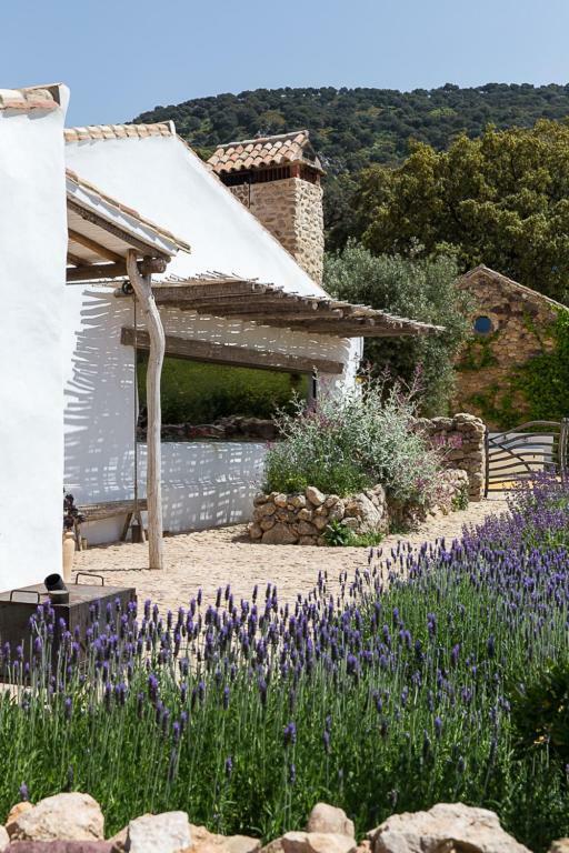 Gasthaus La Donaira Montecorto Exterior foto